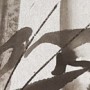 traumbunt - Tuschmalerei - Kleine Nachtmusik