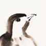 traumbunt - Tuschmalerei - Tuschmalerei - Zen Vogel 