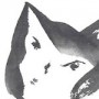 traumbunt - Tuschmalerei - Tuschmalerei - Katze 1
